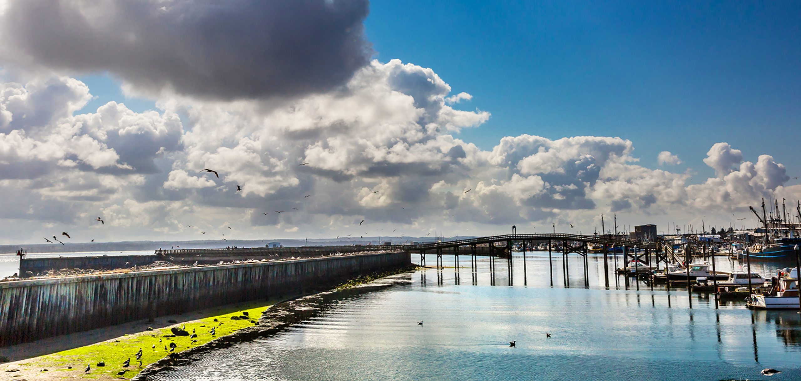 Vacation by the Sea - Westport, Washington Marina in Westport, Washington
